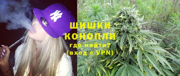 дмт Богородицк