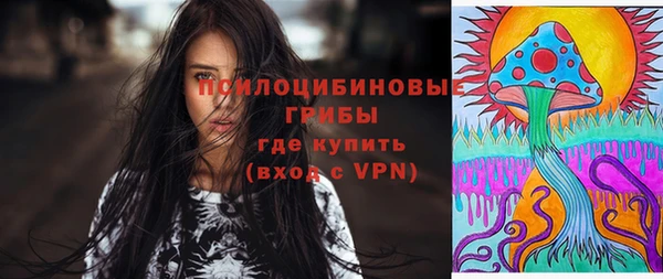 дмт Богородицк