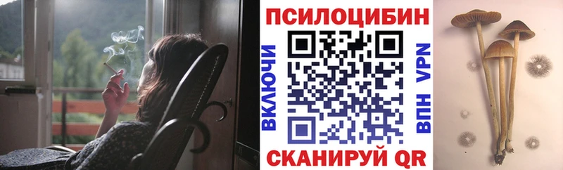 Псилоцибиновые грибы Cubensis  Купить  Брюховецкая 